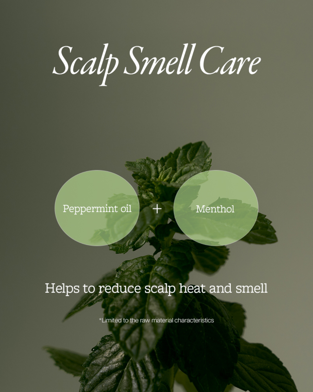 Mintree Sparkling Scalp Scaler (Upgraded)