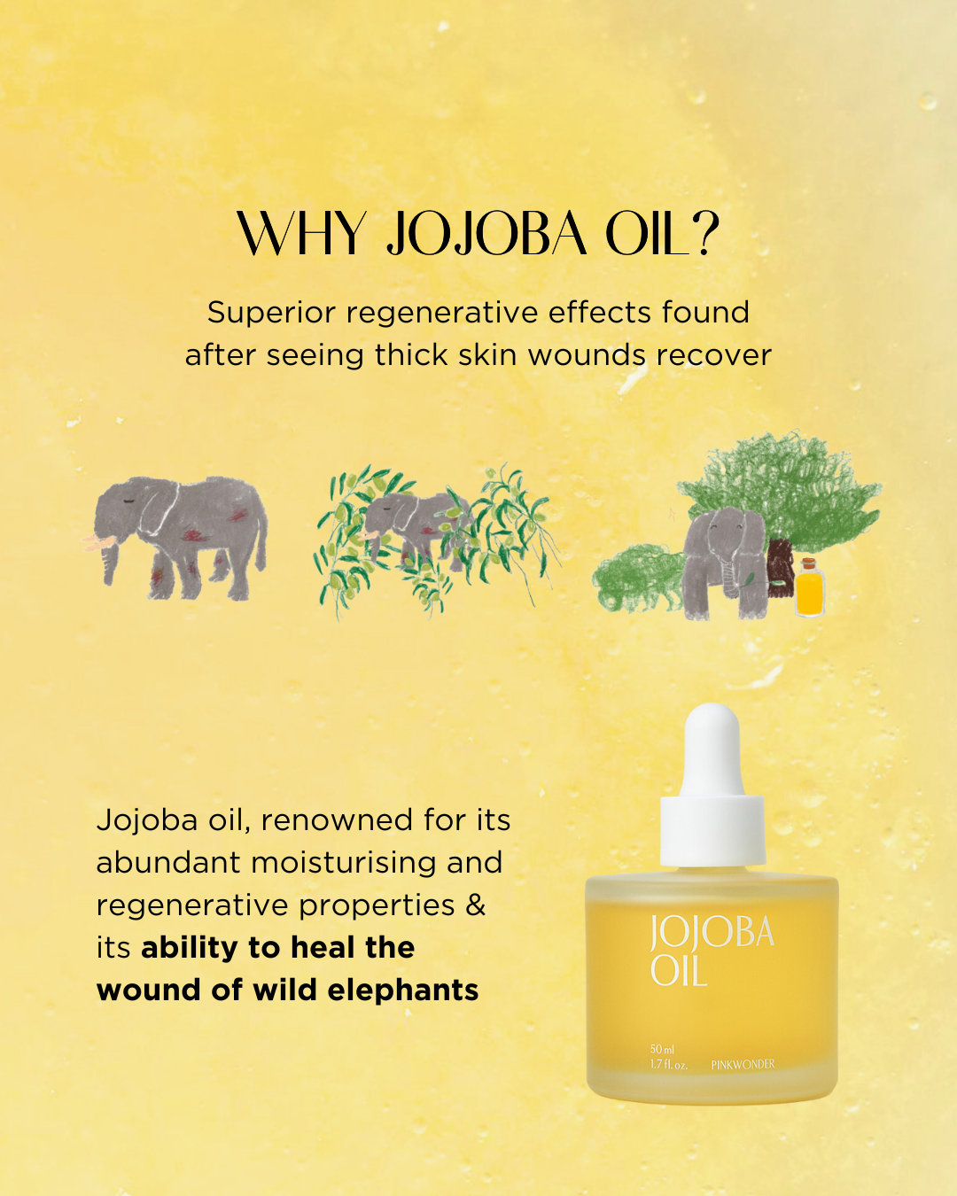 PINKWONDER Jojoba Oil (50ml)