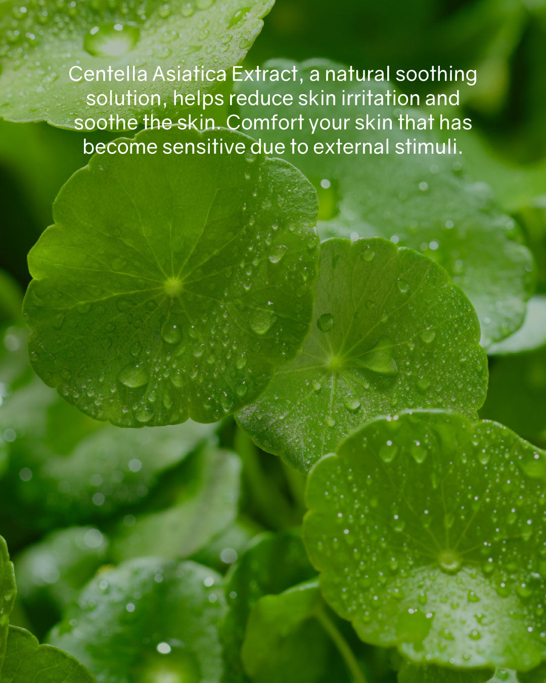 Lilibeth Deep Glow Soothing Serum