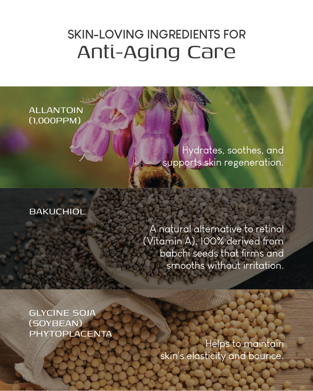 Jung Beauty Brightening Microcurrent Mask with Niacinamide and Rice Bran Extract