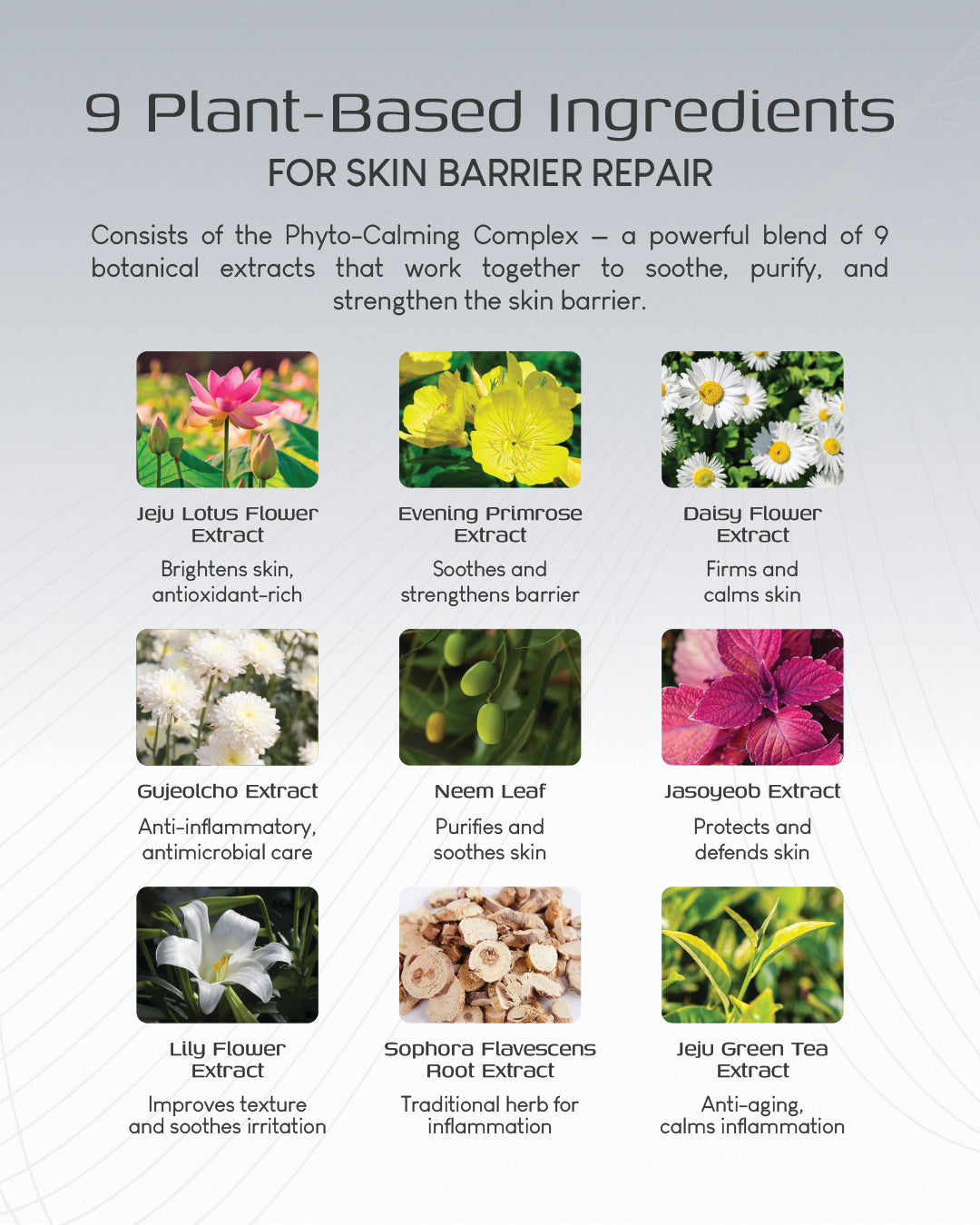 Jung Beauty Brightening Microcurrent Mask with Niacinamide and Rice Bran Extract