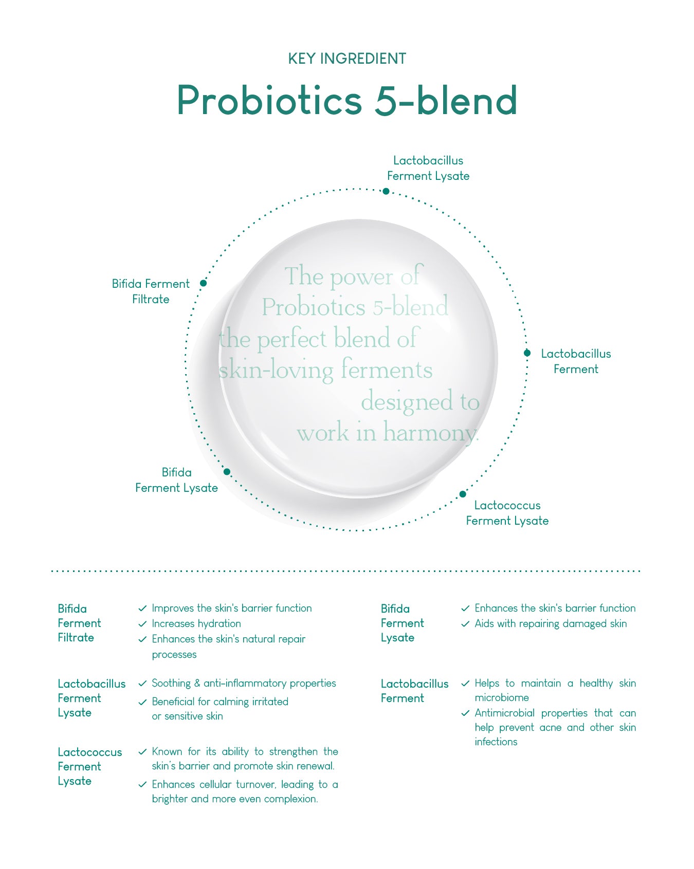 Jung Beauty Purifying Bubble Cleanser with Panthenol + Probiotics