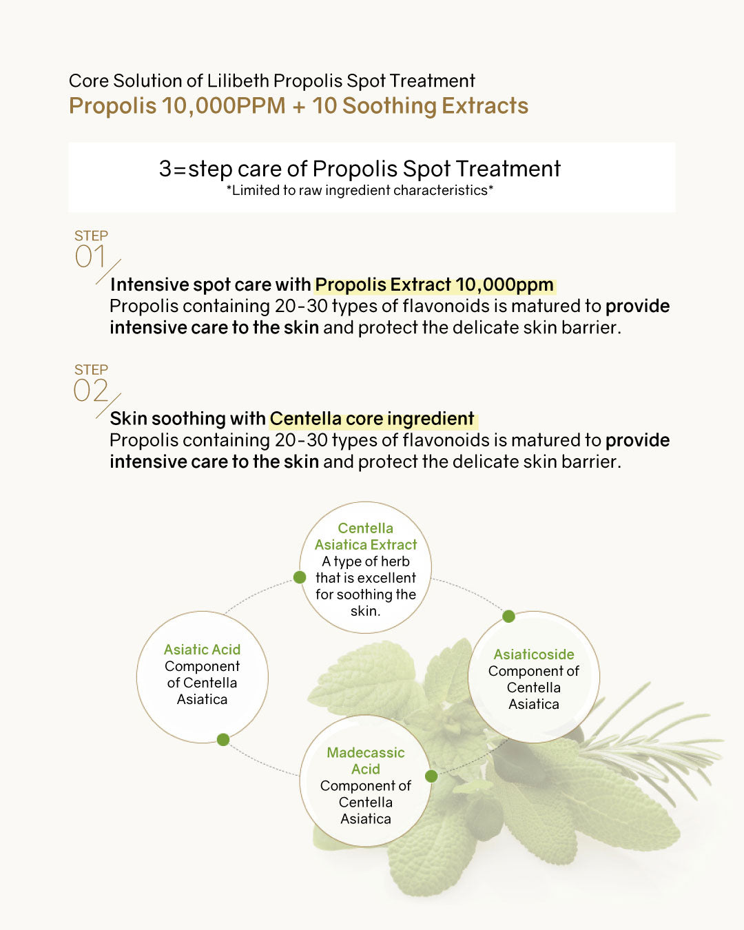 Lilibeth Propolis Spot Treatment