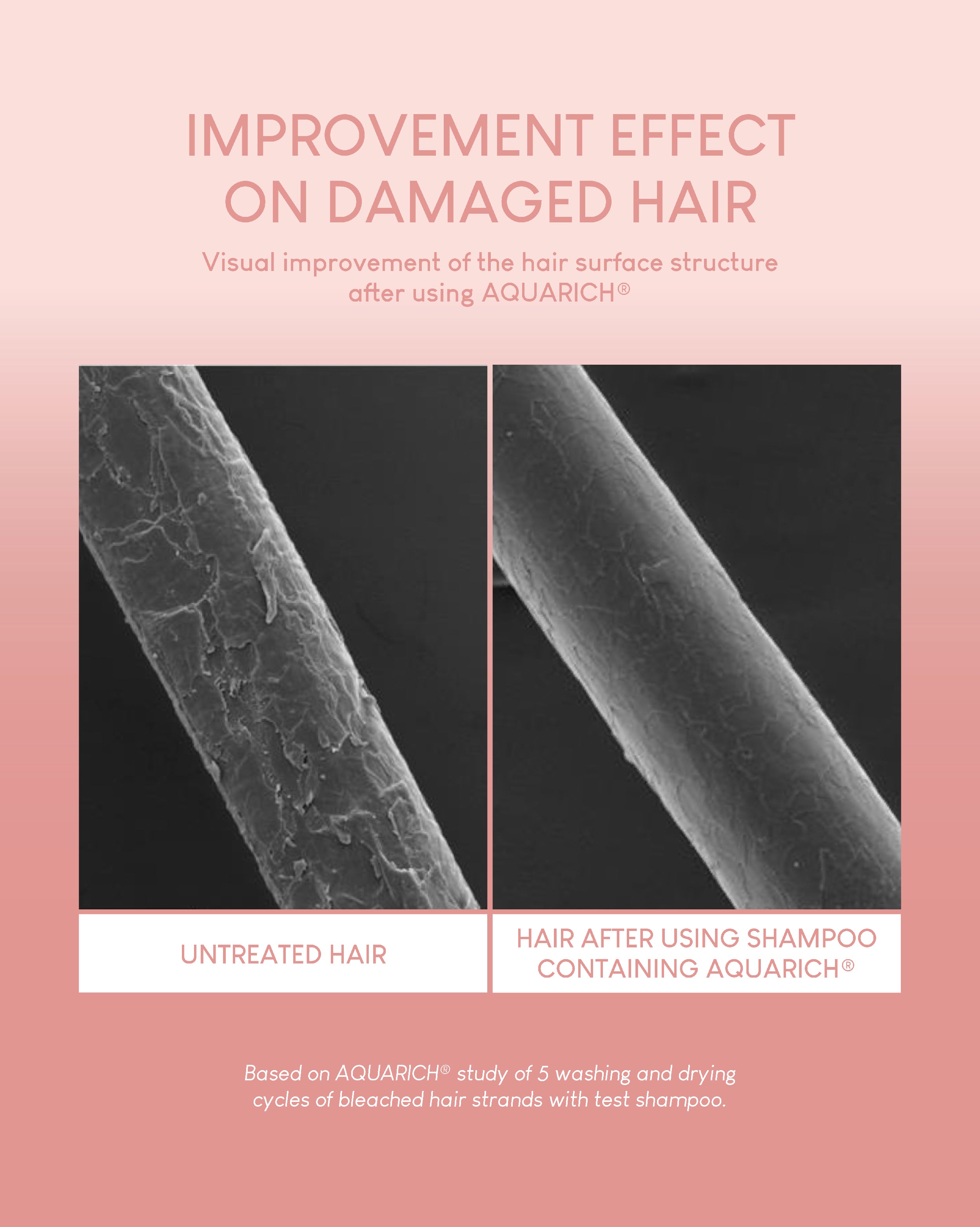 Jung Beauty Damage Repair Keratin Shampoo