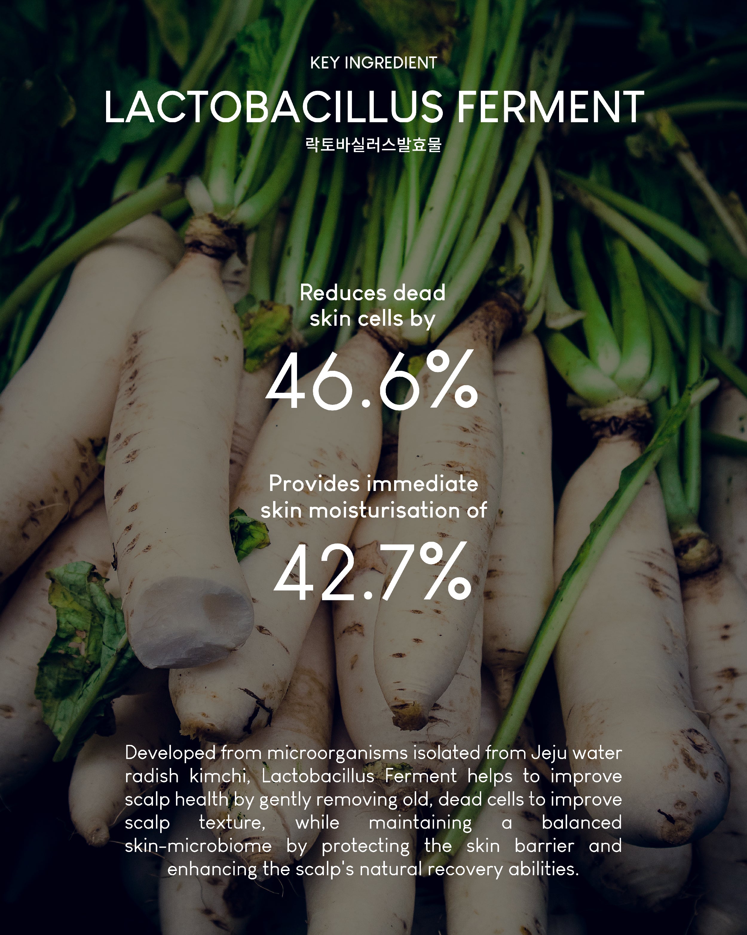 Jung Beauty Damage Repair Keratin Shampoo