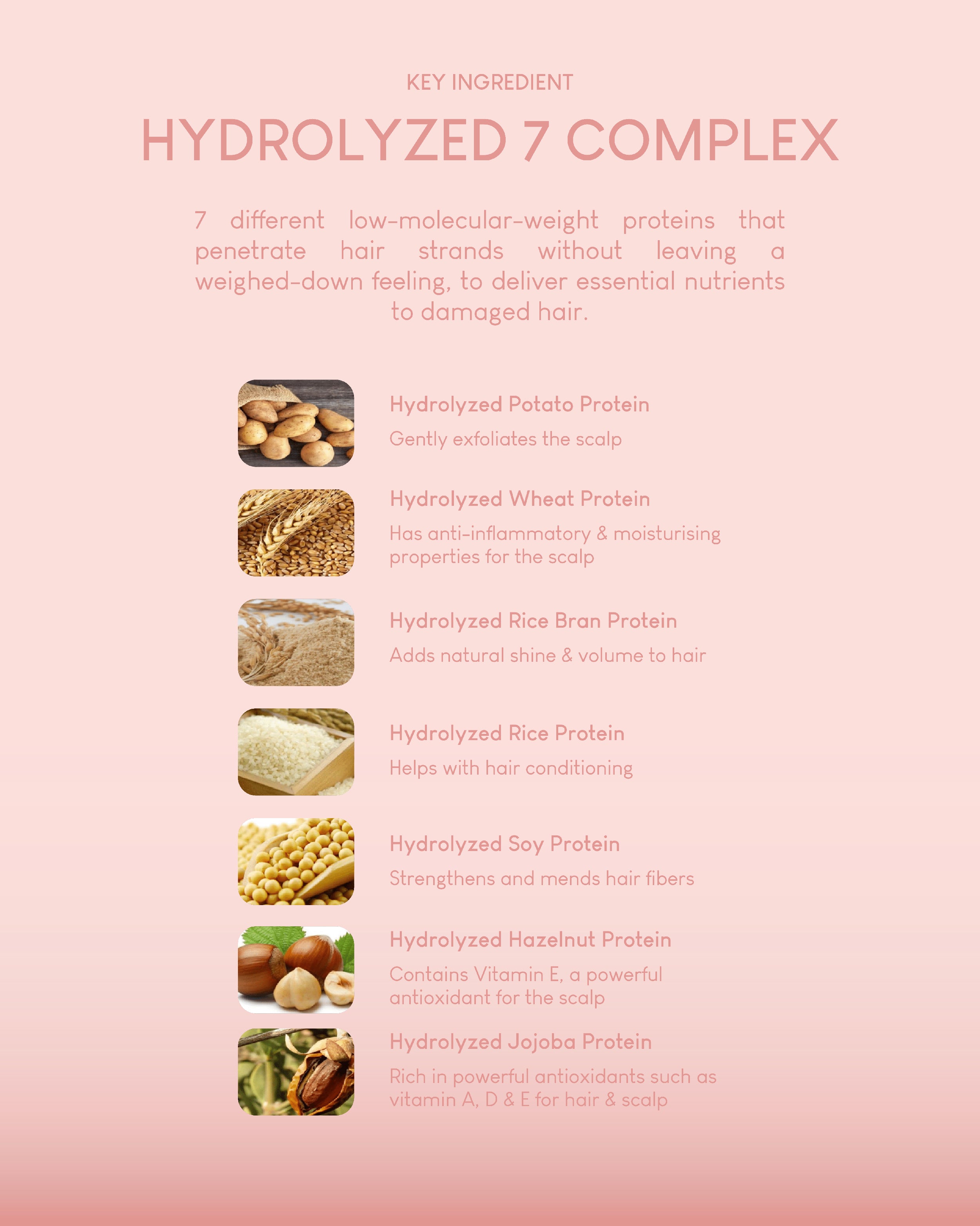 Jung Beauty Damage Repair Keratin Shampoo