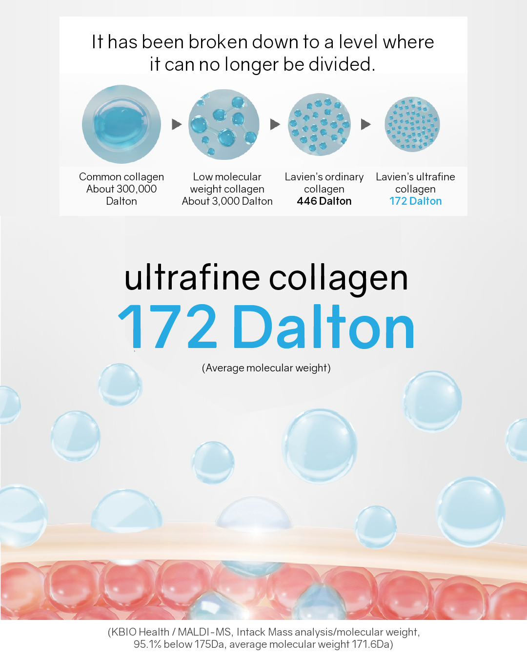 Lavien Collagen Professional Program