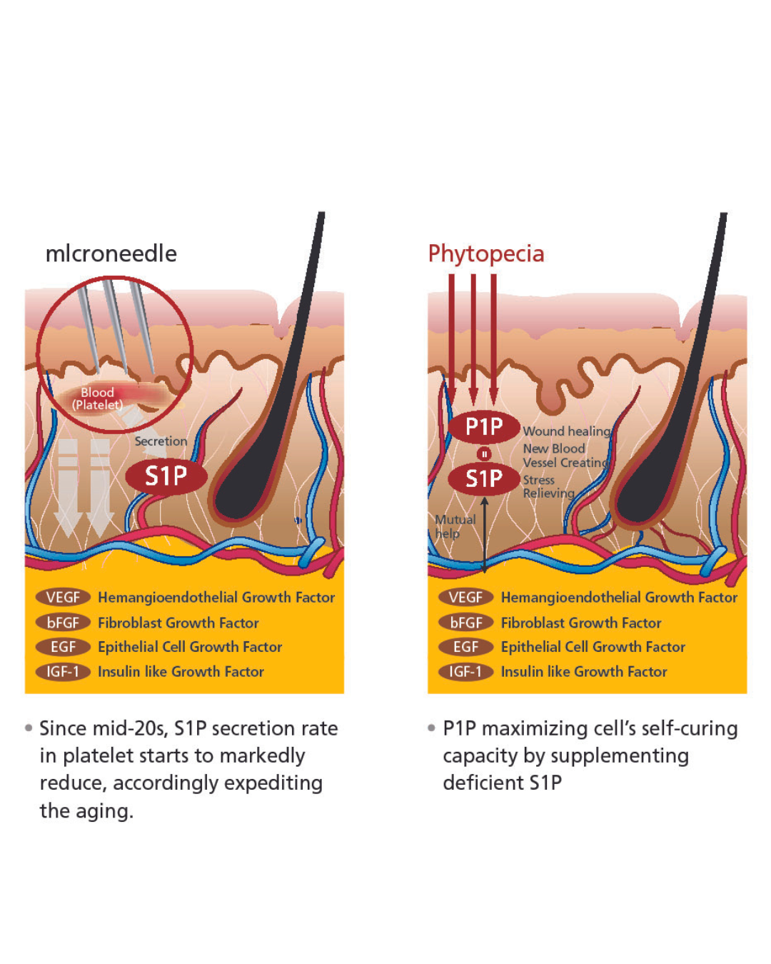 Phytopecia+ Hair Boosting Series