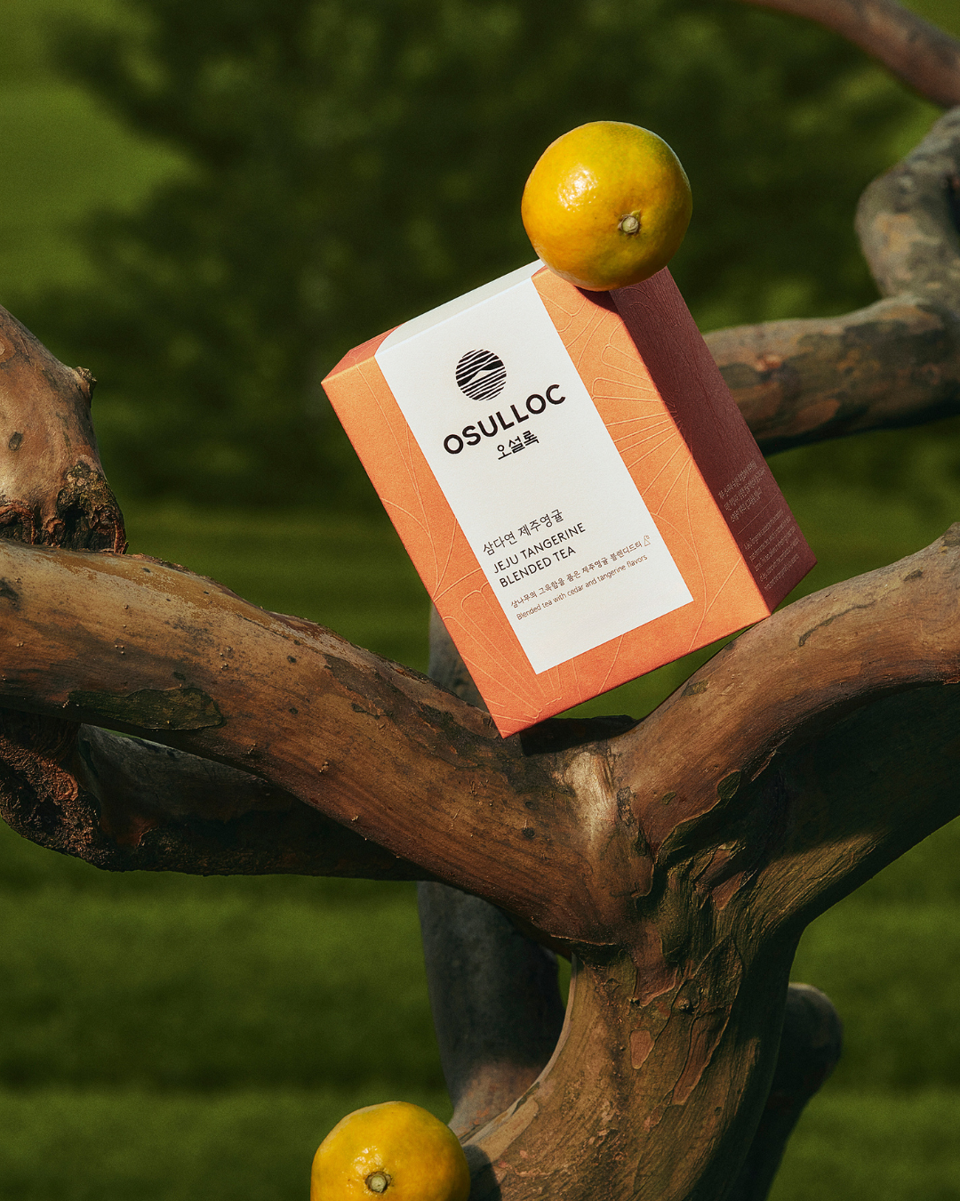 [PROMO] Osulloc Tea (10EA)