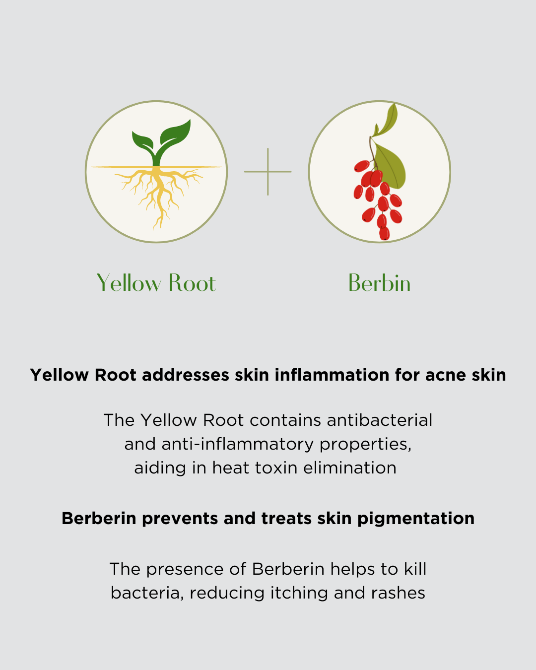 [PROMO] PINKWONDER Tamanu Hero Ampoule