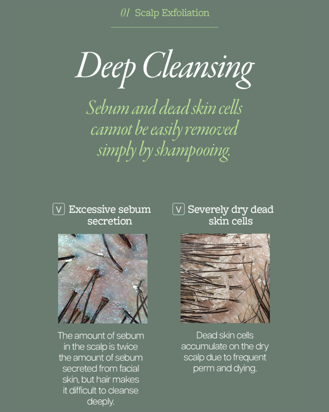 [PROMO] Mintree Sparkling Scalp Scaler