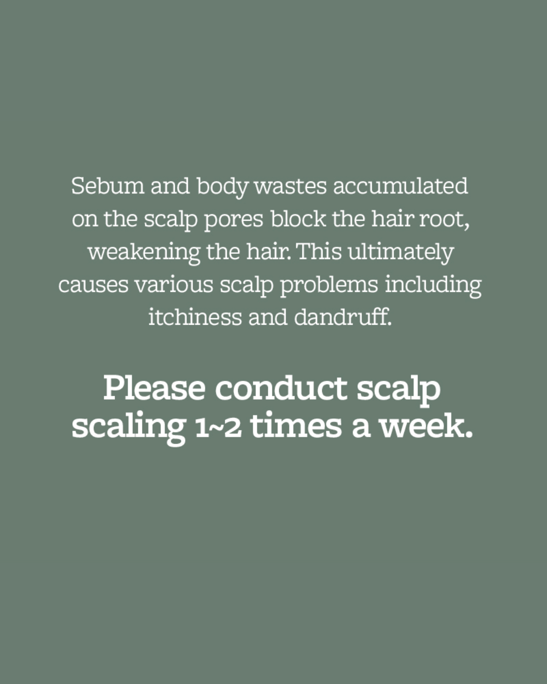 Mintree Sparkling Scalp Scaler (Upgraded)