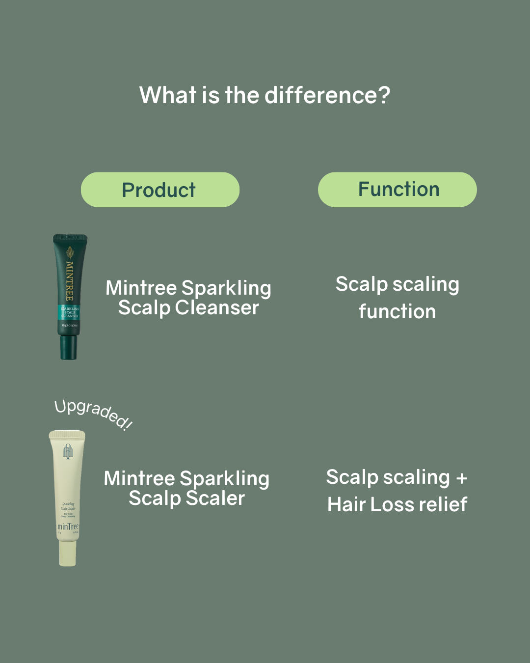 [PROMO] Mintree Sparkling Scalp Scaler