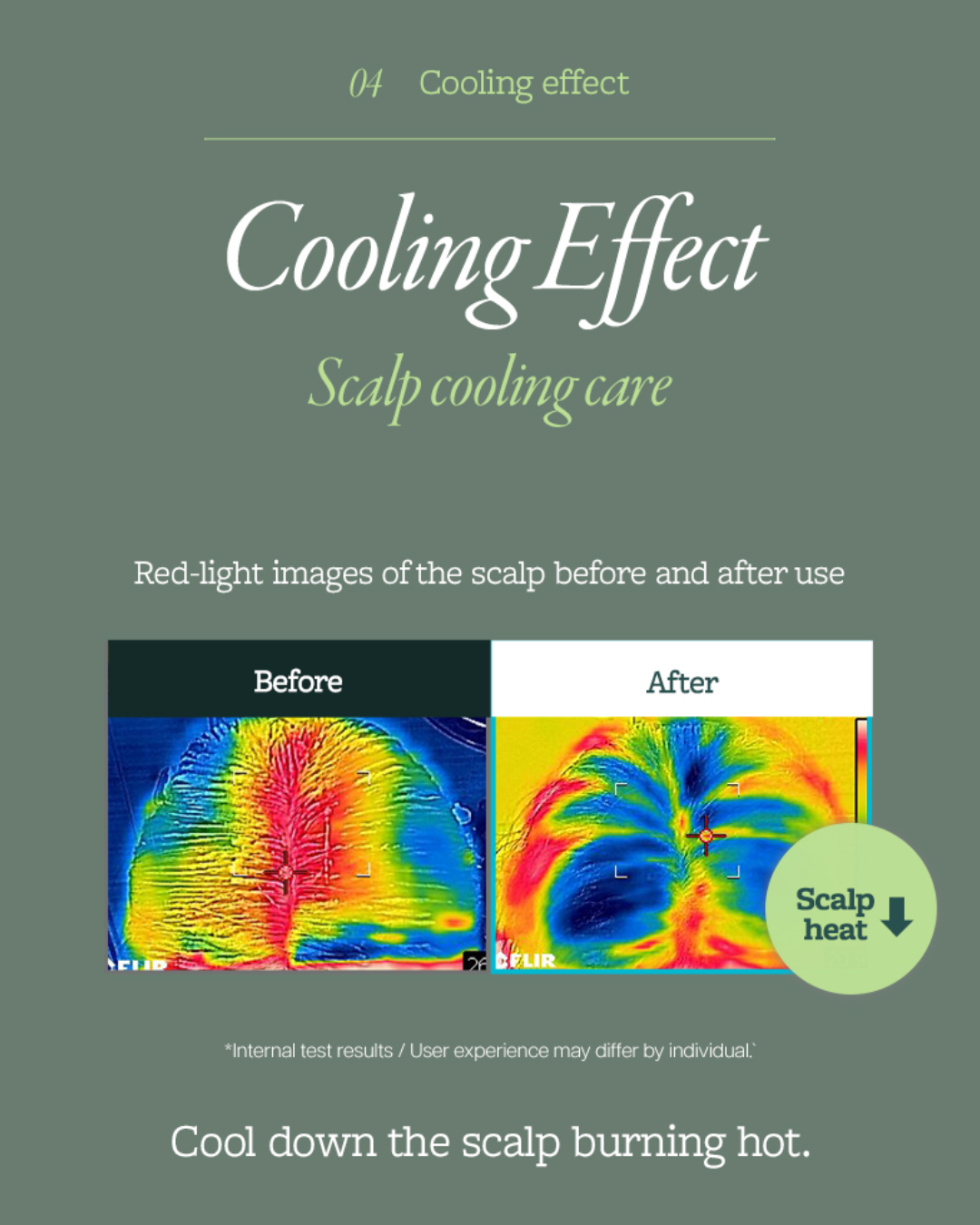 [PROMO] Mintree Sparkling Scalp Scaler