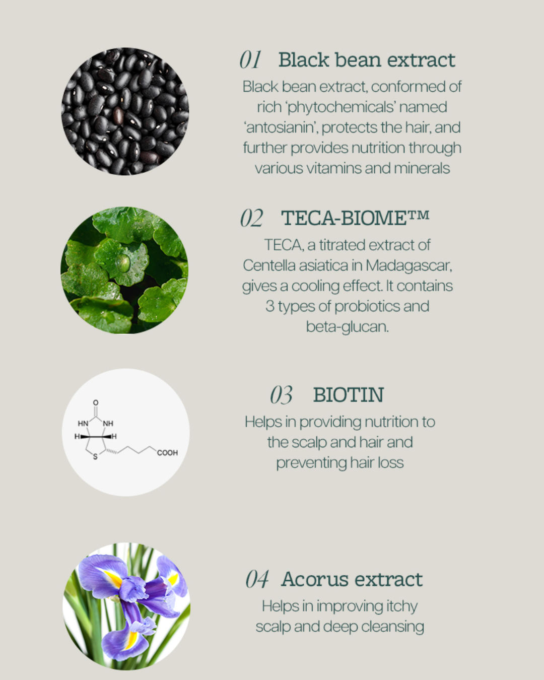 [PROMO] Mintree Sparkling Scalp Scaler