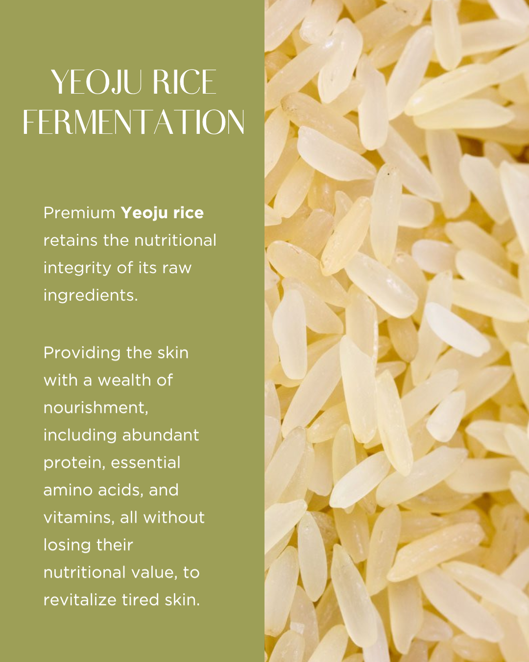 [PROMO] PINKWONDER Jojoba Mochi-Vation™ Cream Mask (with Silicon Pack Brush)