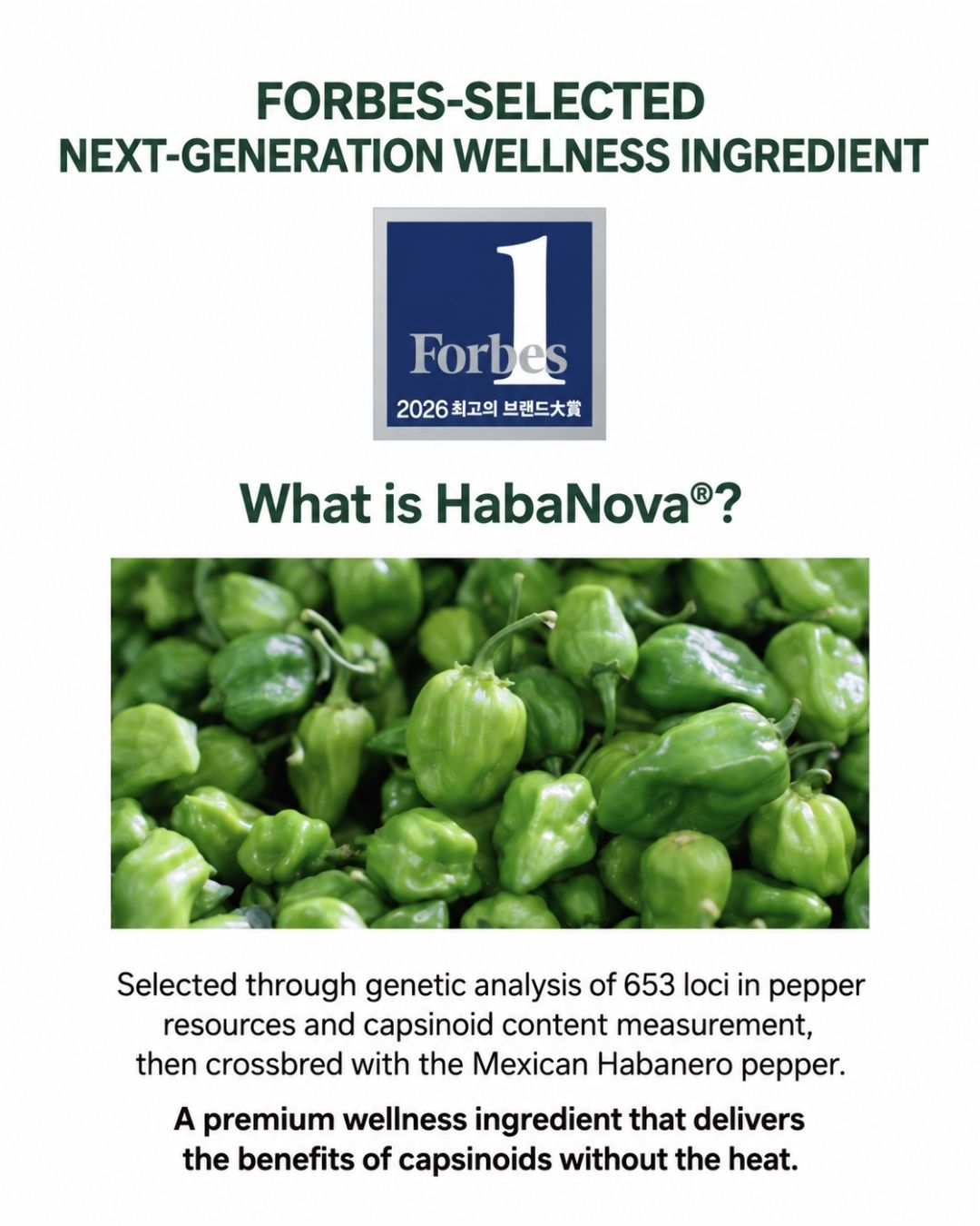 [PROMO] Lavien Perfect Habanova Hot Burning Balance