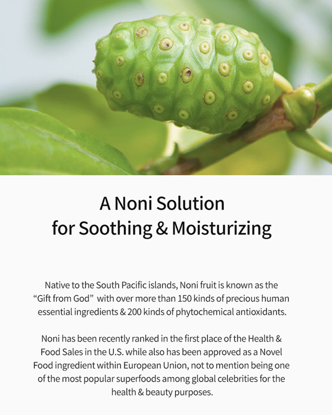 [PROMO] celimax The Real Noni Energy Repair Cream