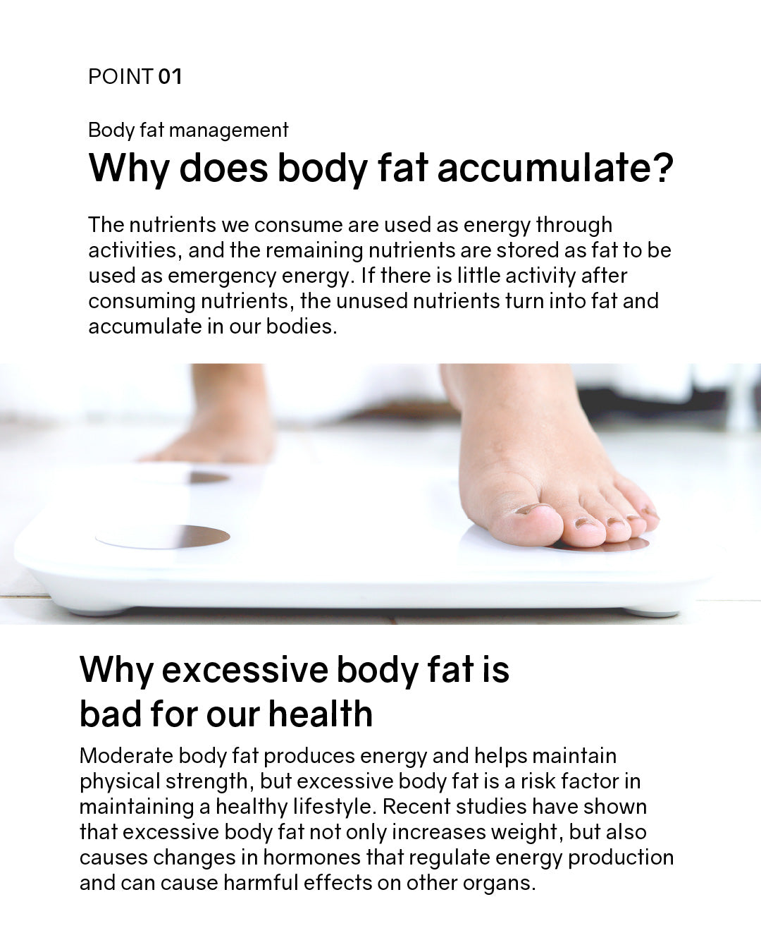 BNRThin+ Diet Probiotics (Cold Chain)