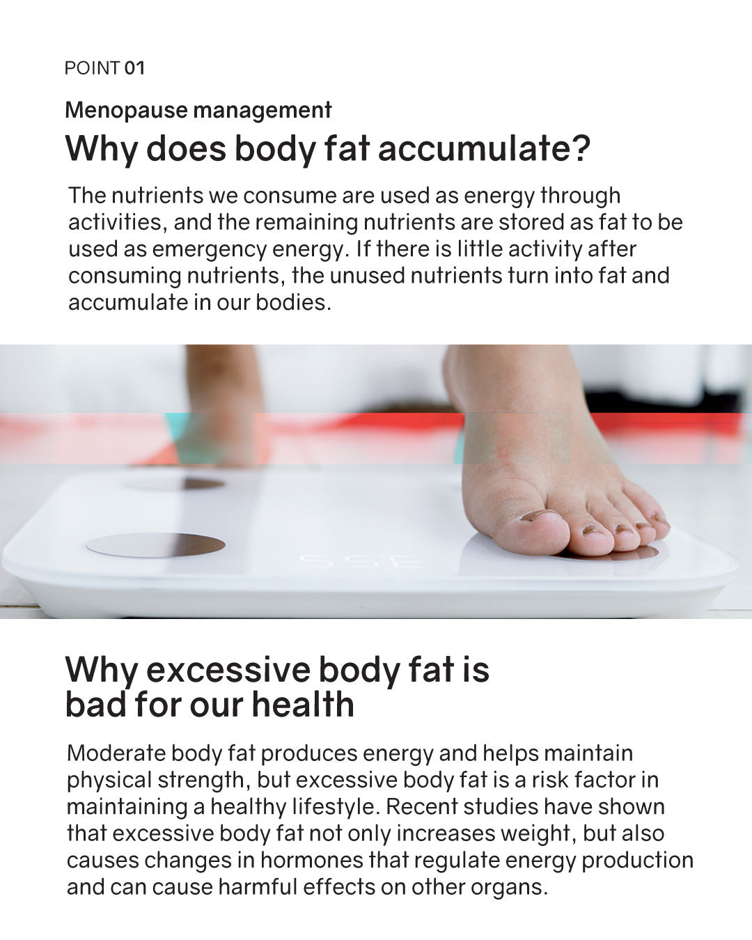 [PREORDER] [BOK] BNRThin Slim+ Probiotics (Room Temp)