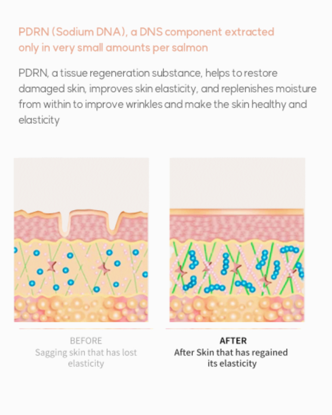 [PREORDER] Dermaline PDRN Solution Salmon Ampoule