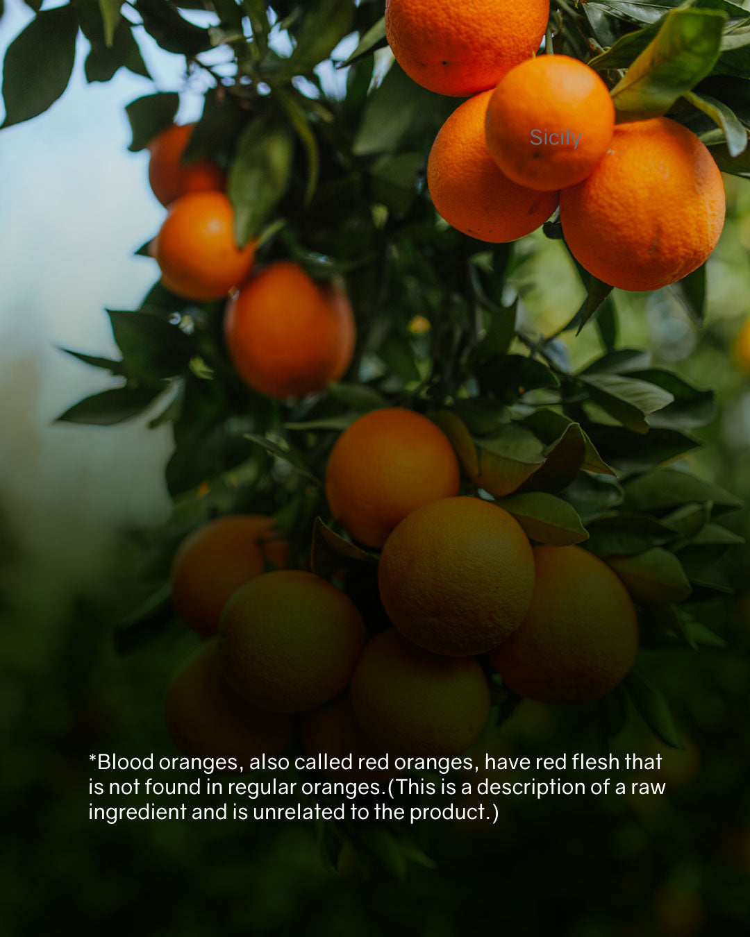 Etnacare Oral Sun Protection (Room Temp)