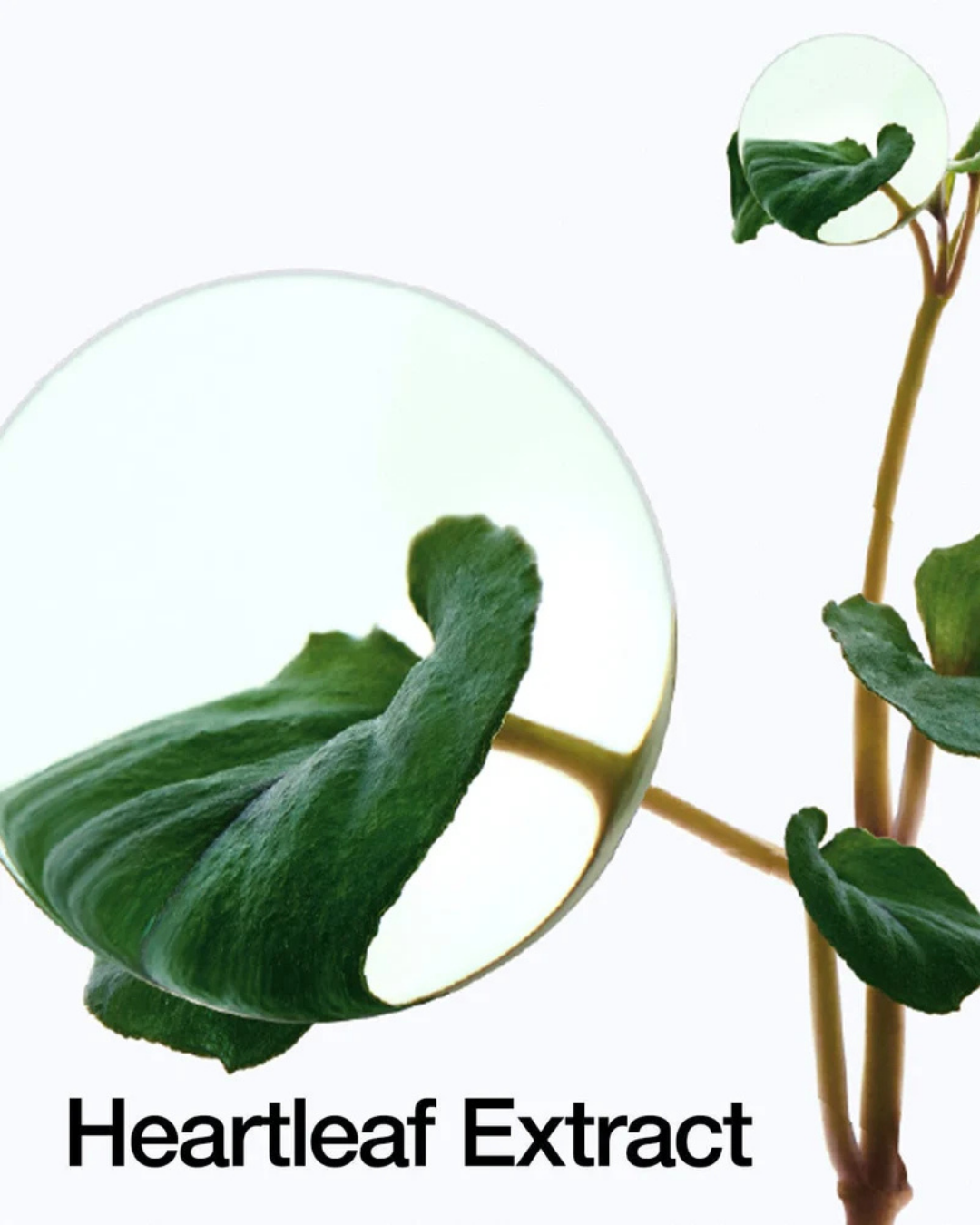 [PROMO] ANUA Heartleaf Pore Control Cleansing Oil (200ml)