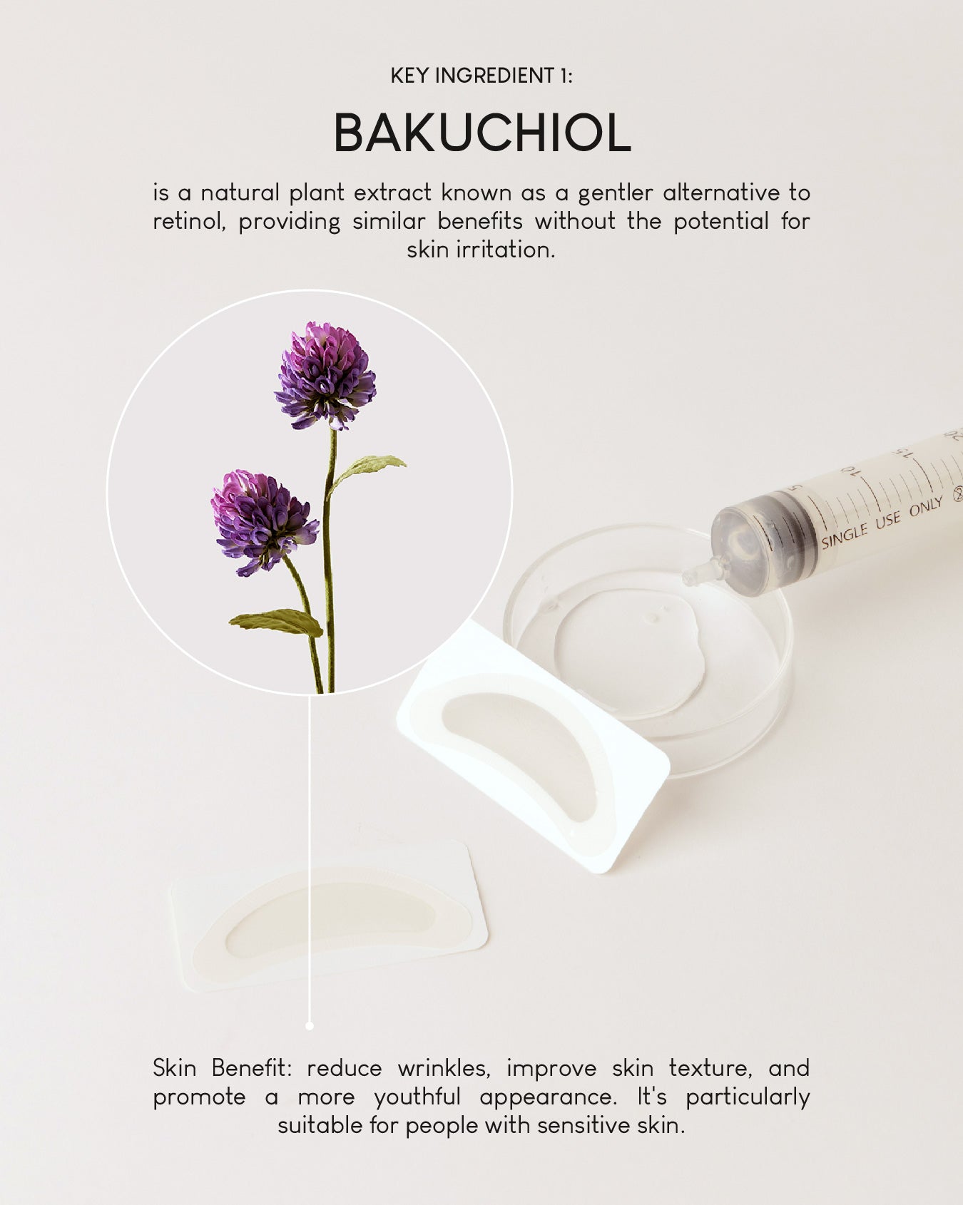 [Online Exclusive] Jung Beauty Youthful Eyes Duo