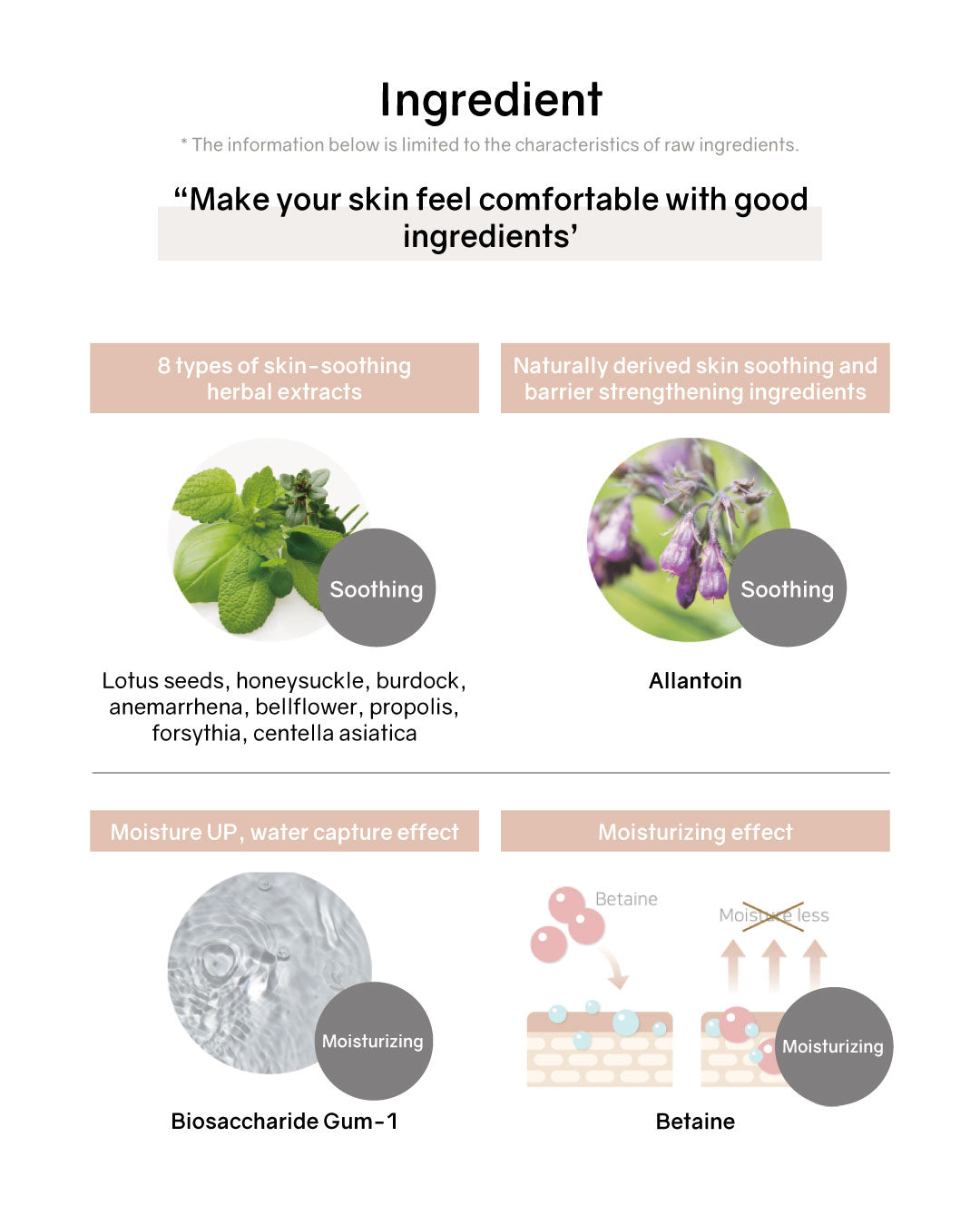 [PROMO] Lilibeth Perfect Fitting Full Coverage Mini Cushion SPF50+/PA+++