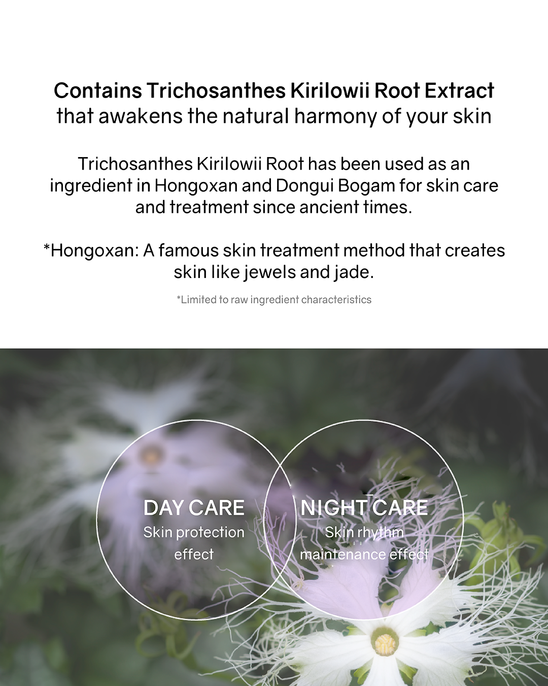 [PROMO] Lilibeth Timeless Glow Cushion/ Refill (Pink/ Purple)