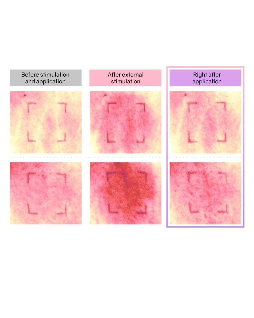 [PROMO] Lilibeth Timeless Glow Cushion/ Refill (Pink/ Purple)