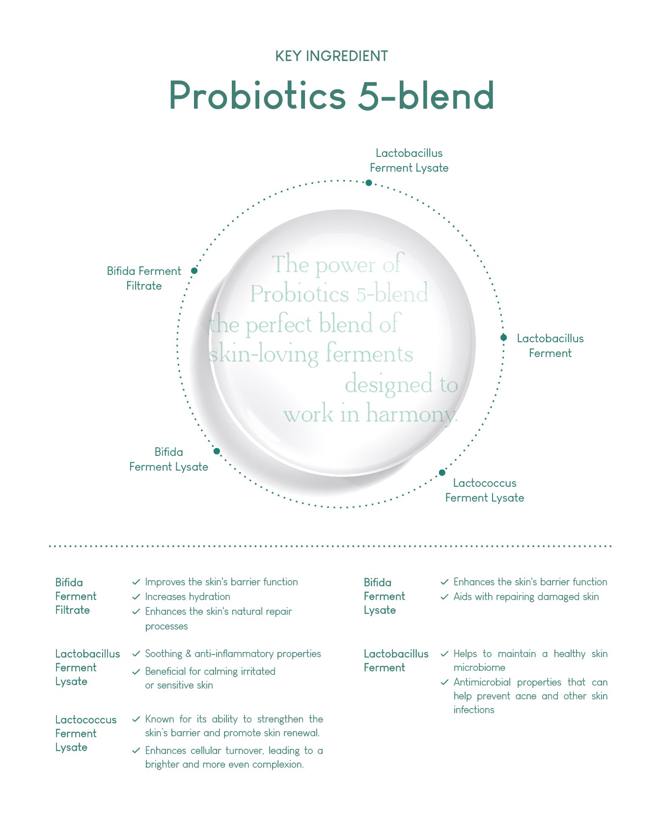 [PROMO] Jung Beauty Purifying Micellar Cleansing Water with Panthenol + Probiotics