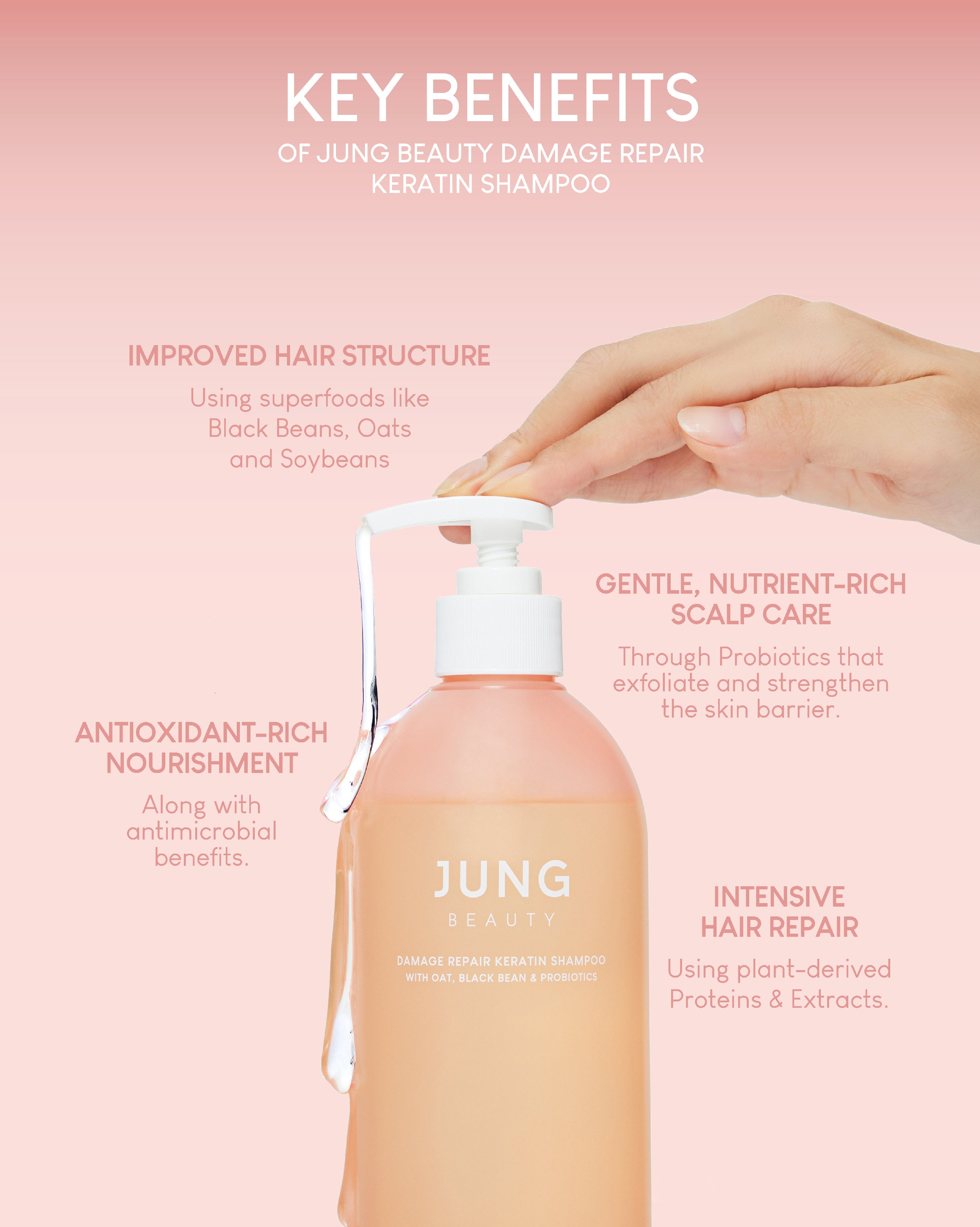 [Online Exclusive] Jung Beauty Camellia Hair Care Trio