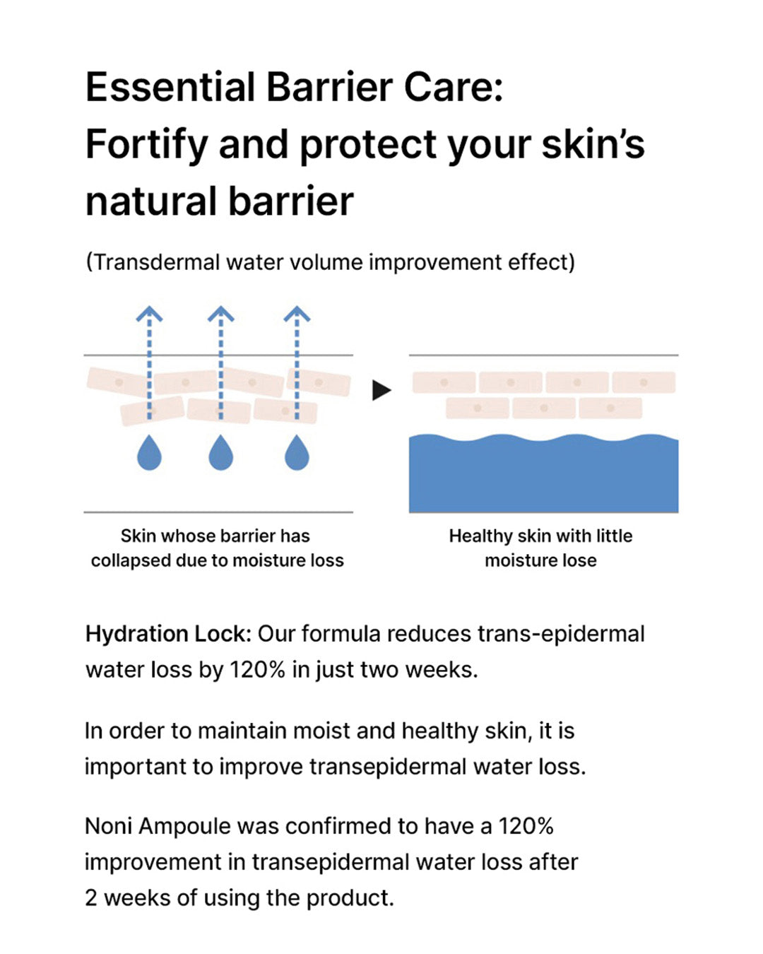 [PROMO] celimax The Real Noni Energy Ampoule 50ml/ 100ml