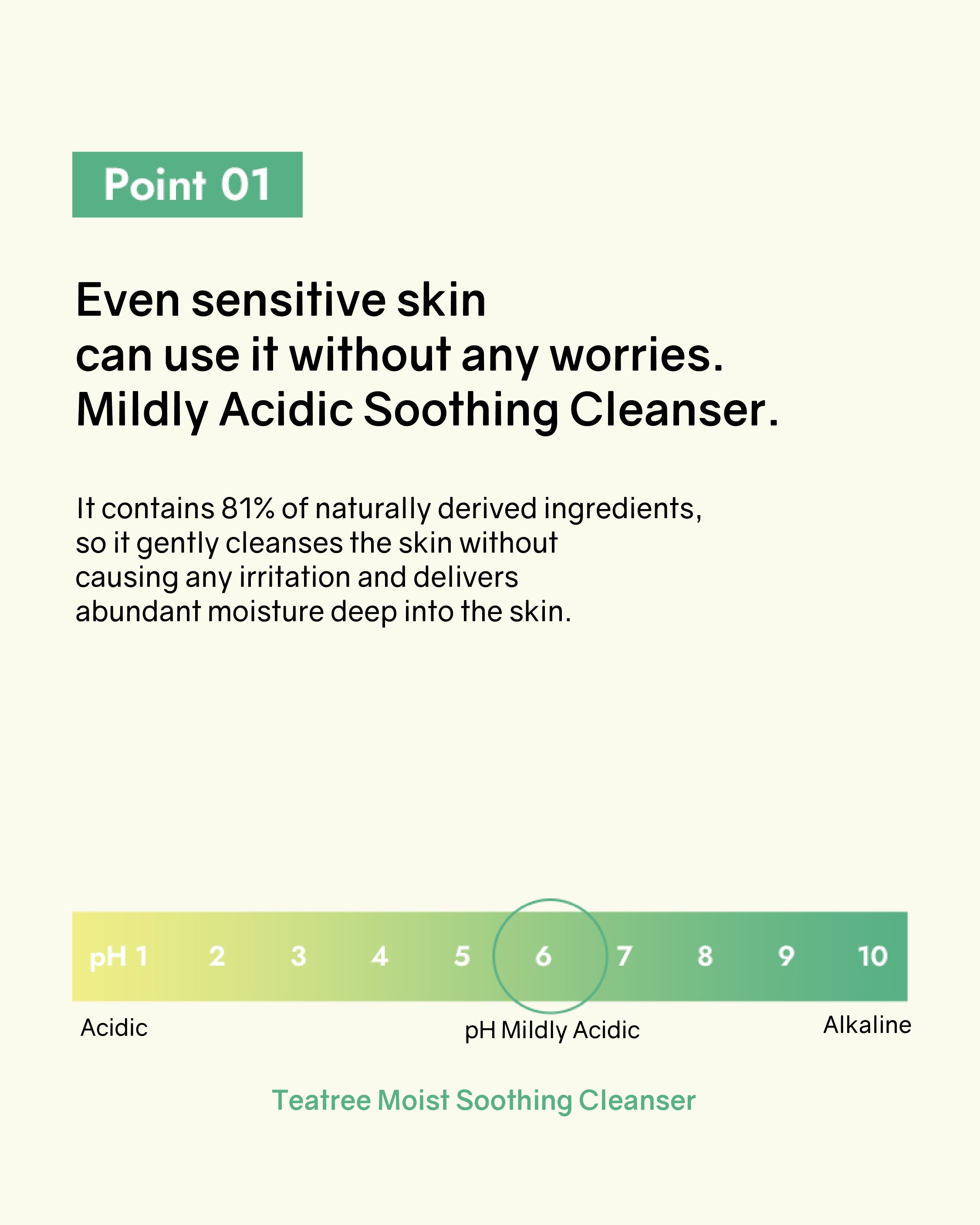 [Online Exclusive] Bonabella Teatree Moist Soothing Cleanser