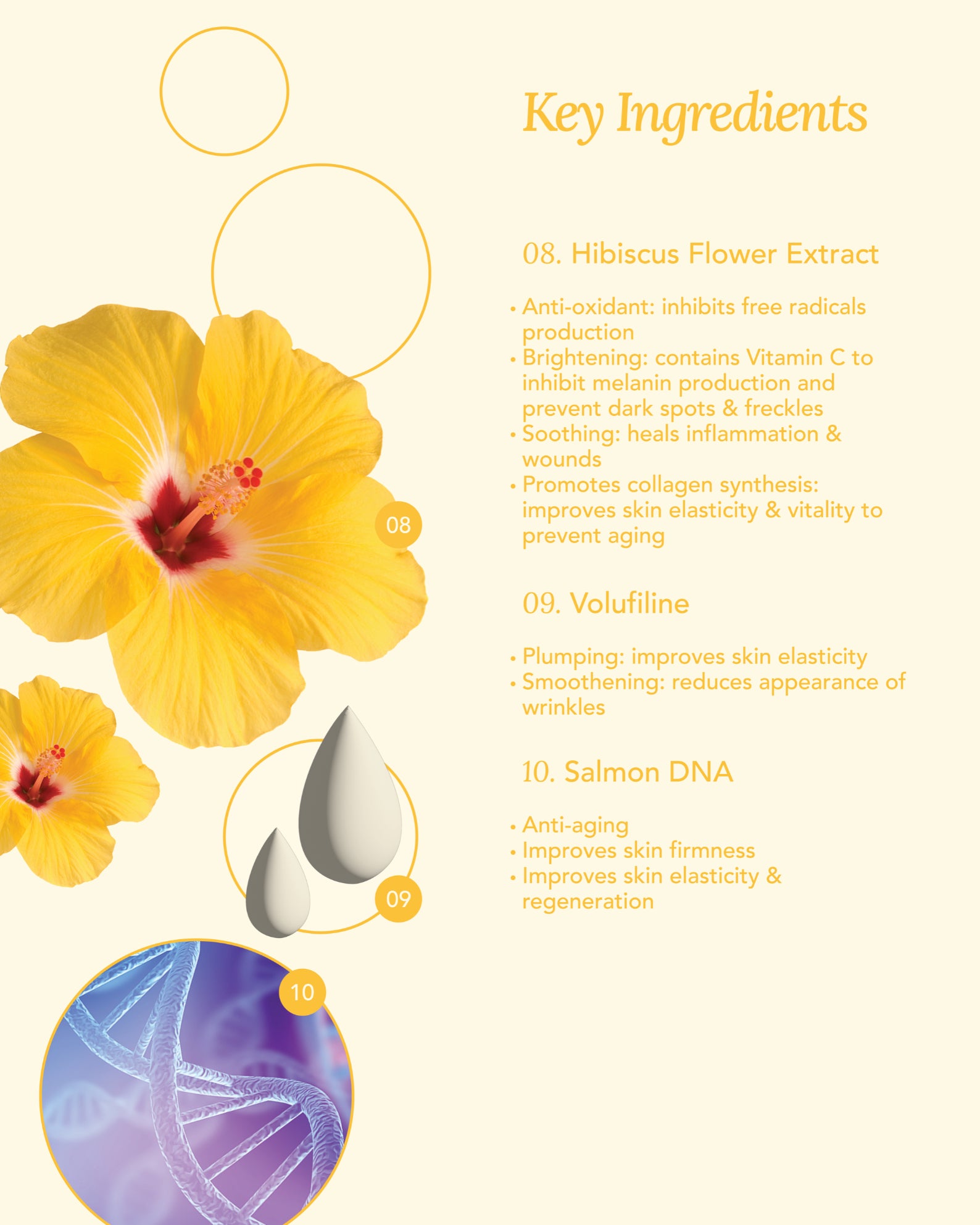 [Online Exclusive] Jung Beauty Youthful Eyes Duo