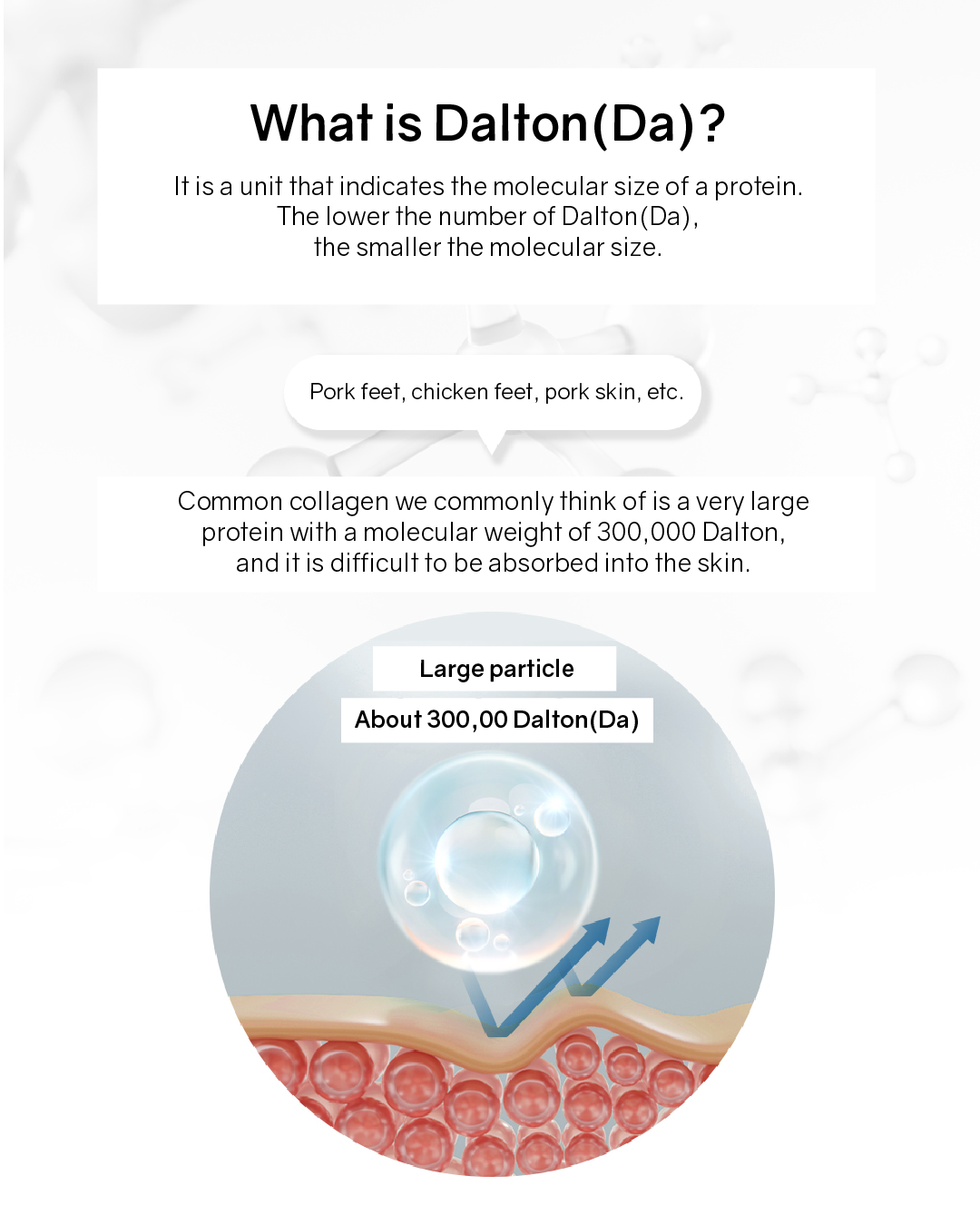 [PROMO] Lavien Collagen Professional Program