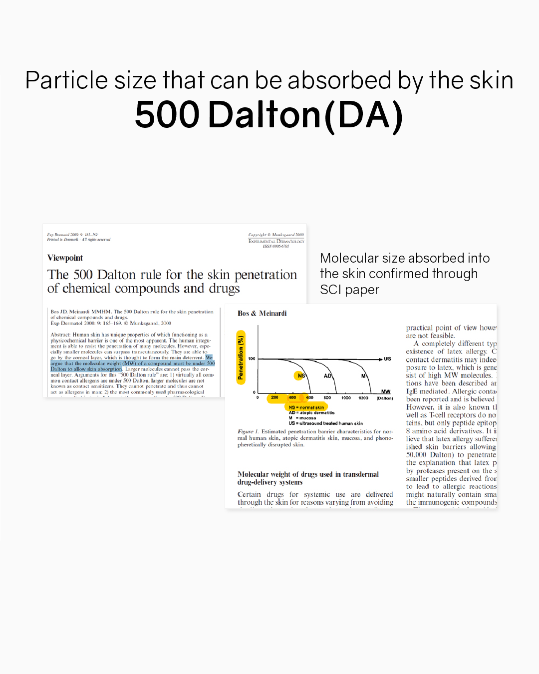 [PROMO] Lavien Collagen Professional Program