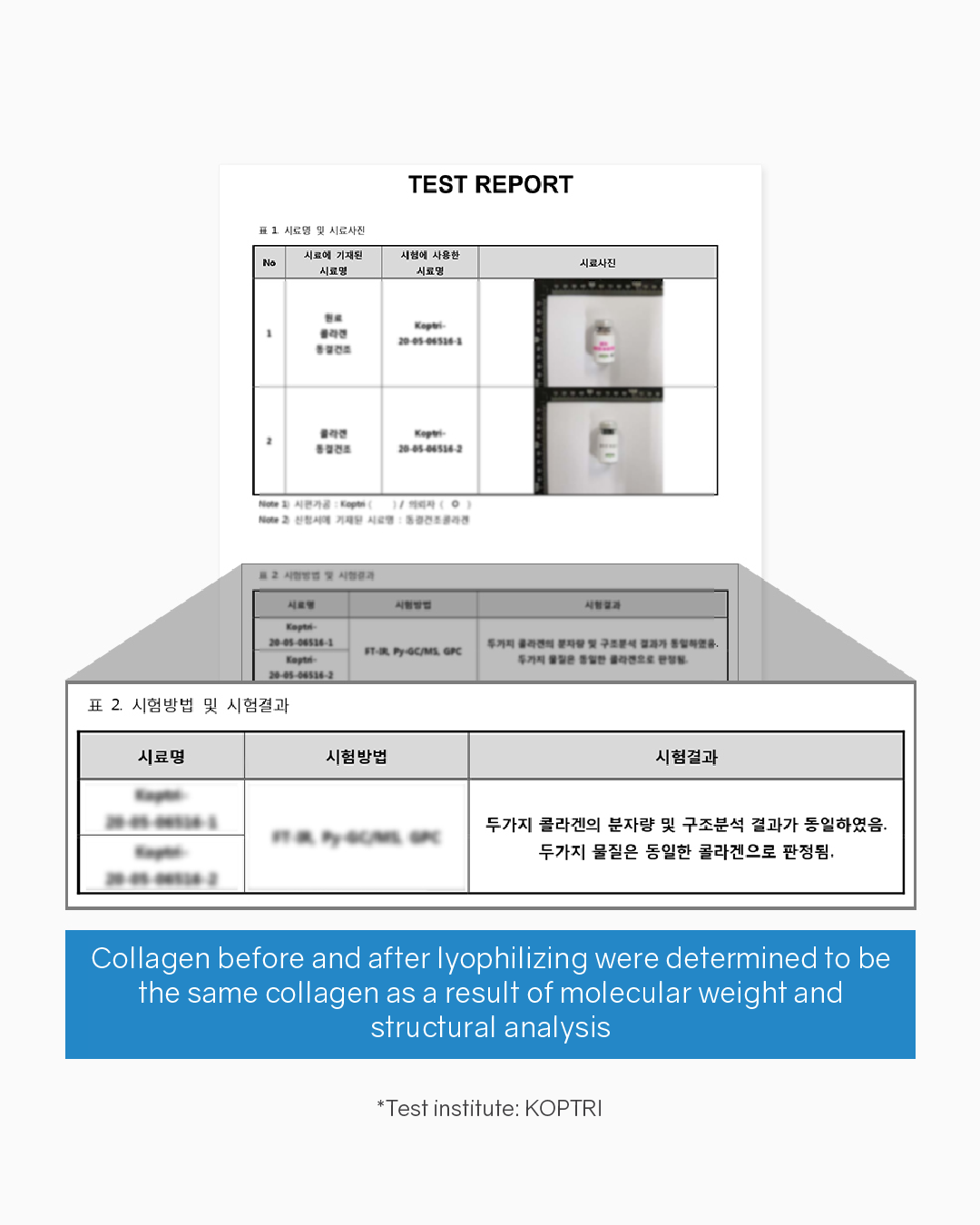 Lavien Collagen Professional Program