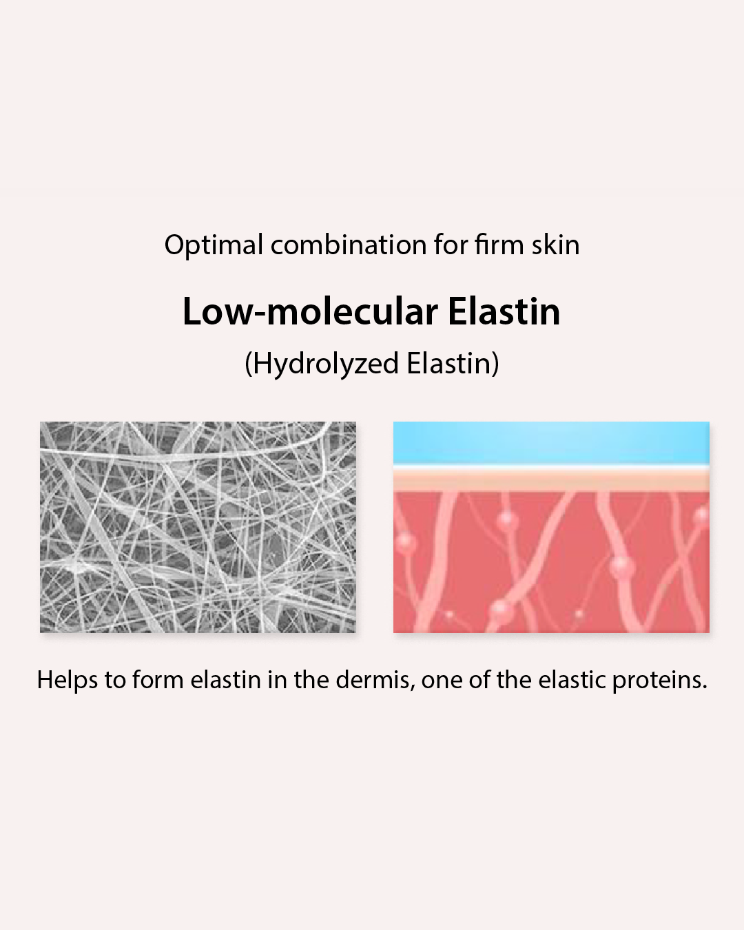 [PROMO] Lavien Micro Collagen Core Cream