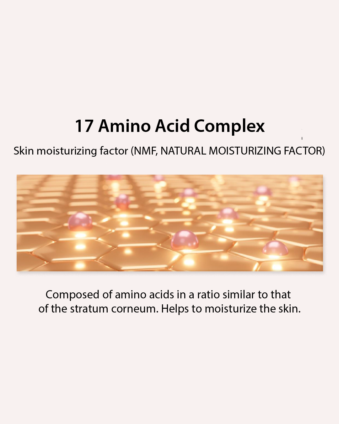 [PROMO] Lavien Micro Collagen Core Cream